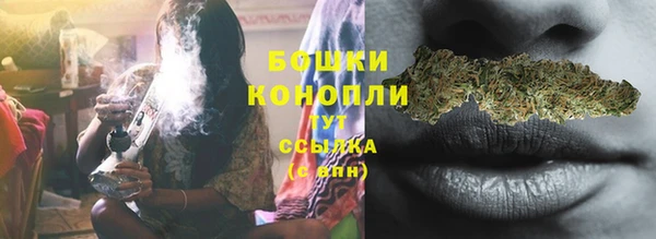 дживик Кулебаки