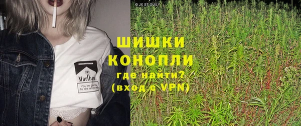PSILOCYBIN Кукмор